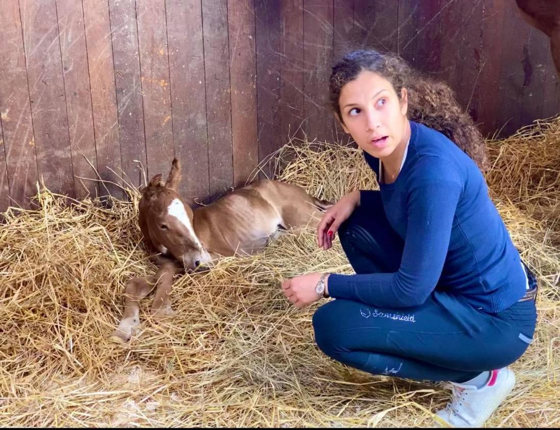 Agriturismo Il Boschetto Ornago Dış mekan fotoğraf