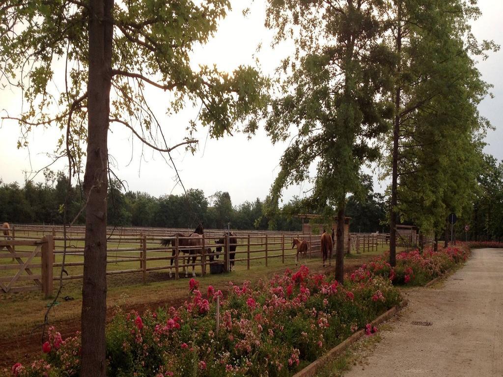 Agriturismo Il Boschetto Ornago Dış mekan fotoğraf