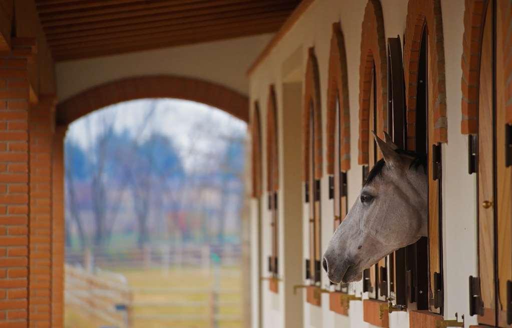 Agriturismo Il Boschetto Ornago Konforlar fotoğraf
